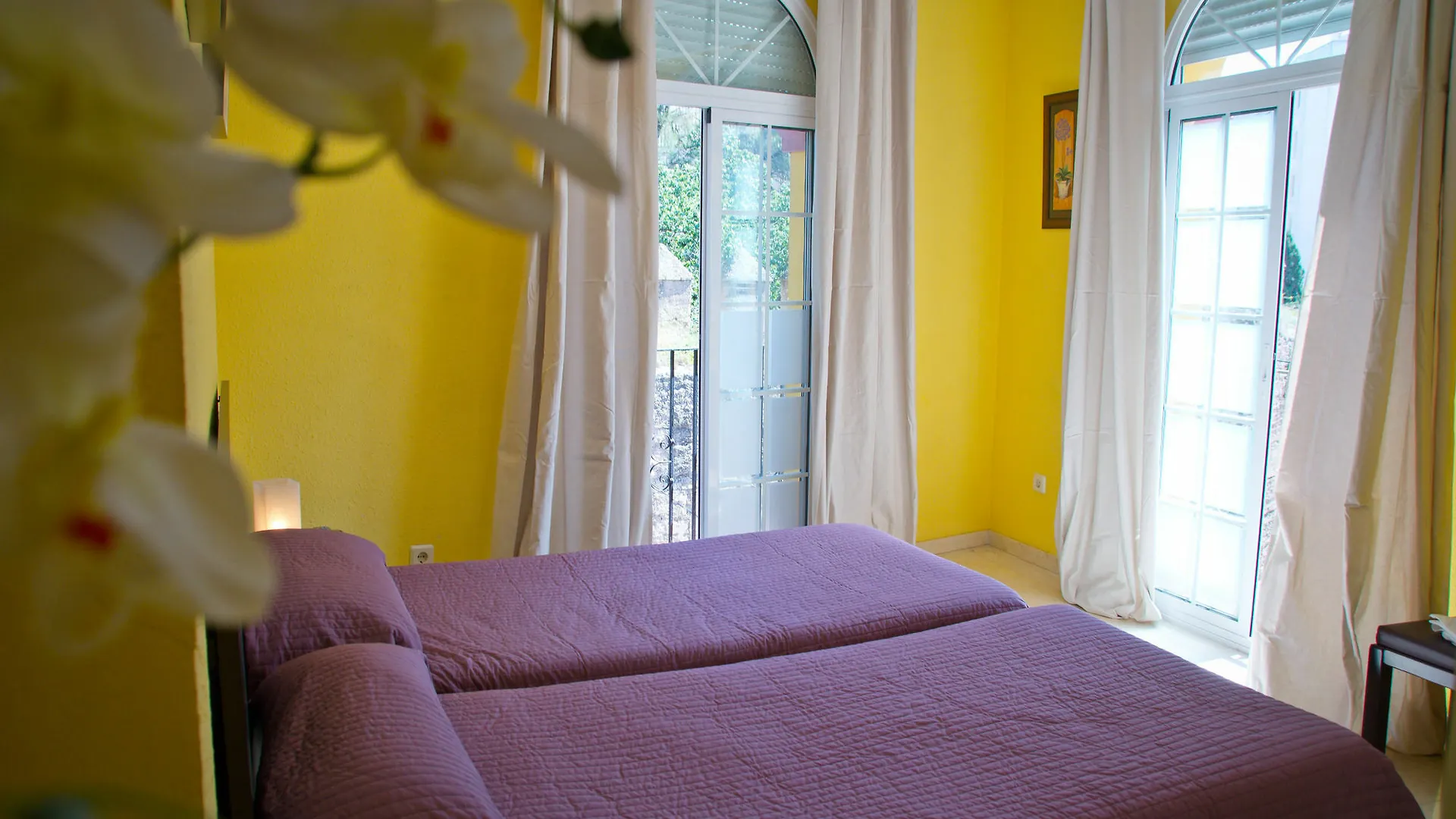 Hostal La Muralla Sevilla 0*,